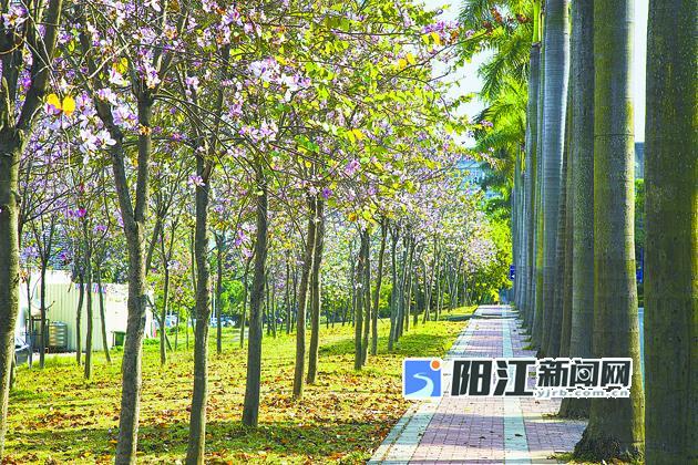 空中庭院！京南首个第四代住宅爆火出圈！