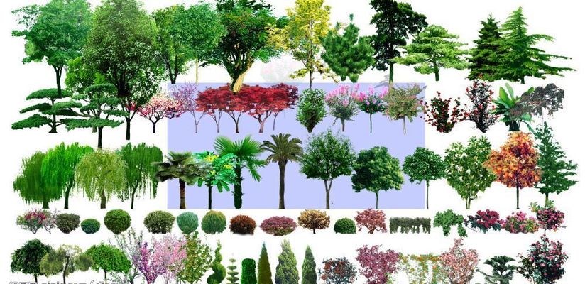 北京陶然亭公园菊花文化节启幕 20余万株秋日花卉扮靓园林